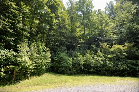 00 Little Pond Pass active home in Red Wolf Run, Mars Hill, NC