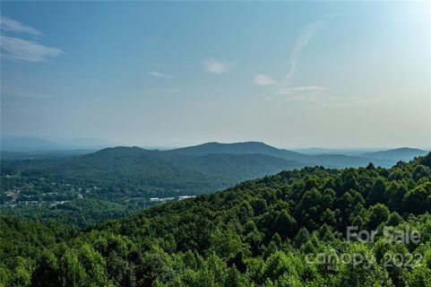 36117 Pisgah View Drive 14