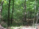 000 Bobcat Trail sold home in Saluda, SC