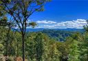 235 Curtain Bluff sold home in Hendersonville, SC