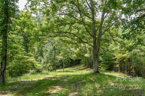 492 The Vines Boulevard 14