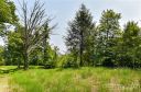 421 The Vines Boulevard 16 sold home in Marshall, SC