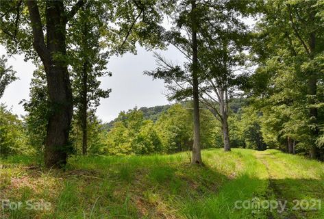 387 The Vines Boulevard 17