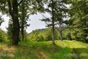 387 The Vines Boulevard 17 sold home in Marshall, SC