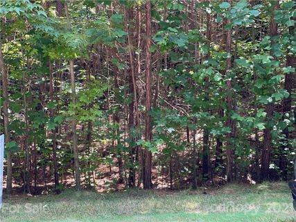 1210 Graham Woods Drive 18 sold home in Graham Woods, Mt Ulla, NC