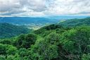 222 Windswept Ridge Road Lot 17 sold home in Canton, SC