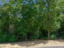 1126 Mills River Way 48 sold home in Horse Shoe, SC