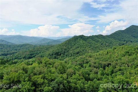 00 Widgeon Way 60 sold home in Grand View Estates, Whittier, NC