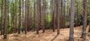 485 Stewart Rock Road sold home in Stony Point, SC