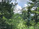 Lot 12 White Whiskey Way sold home in Brevard, SC