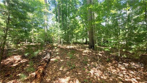312 Bradenton Knoll 15 sold home in Rilandwell Estates, Fletcher, NC