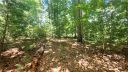 312 Bradenton Knoll 15 sold home in Fletcher, SC