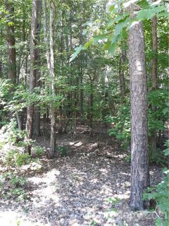 163 Shagbark Court