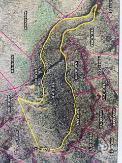 Lot64 Mountain Forest Estates Road