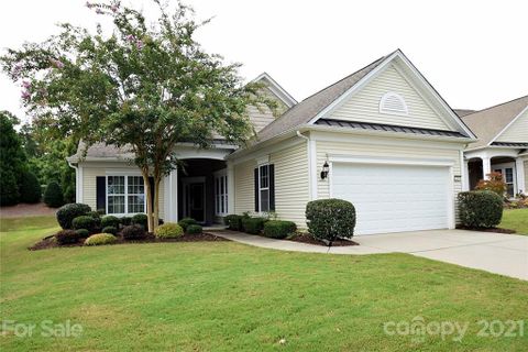 2009 Maned Goose Court