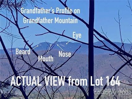 0 Johns Ridge Parkway 164