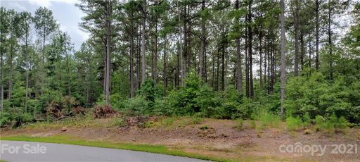 1115 Hidden Cove Lane