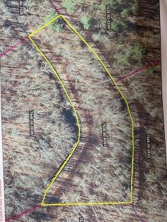 Lot 48 Mountain Forest Estates Road active home in Mountain Forest Estates, Sylva, NC
