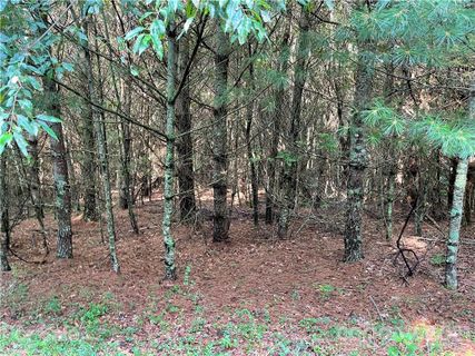 Tbd Timberwilde Court 27 & 28 sold home in Timberwilde, Laurel Springs, NC