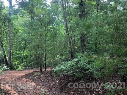 24 25 Summer Lane