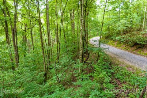 Lot 34 Rainbow Trout Drive sold home in Wolf Creek, Tuckasegee, NC