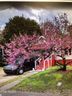 705 S Torrence Street sold home in Charlotte, SC