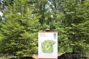 75 Grove Cove Drive Lot 5 sold home in Asheville, SC
