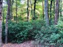 162 Hilltop Court sold home in Lake Lure, SC