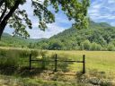 000 Twisted Birch Drive sold home in Hendersonville, SC