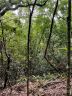 00 Pathkiller Road S8, LO 33 sold home in Lake Toxaway, SC