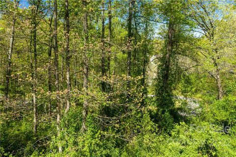 12 Tulip Poplar Trail 40