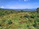 725 Hutch Mountain Road sold home in Fletcher, SC