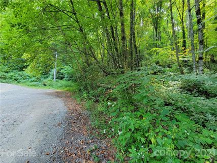 14 Big Laurel Road sold home in Big Laurel Inc, Waynesville, NC