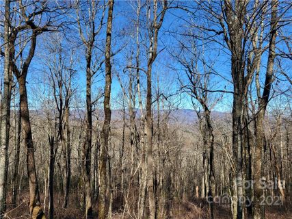 0 Rocky Mountain Road Lot 3 Unit 4 sold home in Rocky Mountain Acres, Lake Toxaway, NC