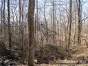 99999 Old Forest Drive 1C sold home in Asheville, SC