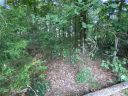 00 Fallen Oak Trail 8 sold home in Lincolnton, SC