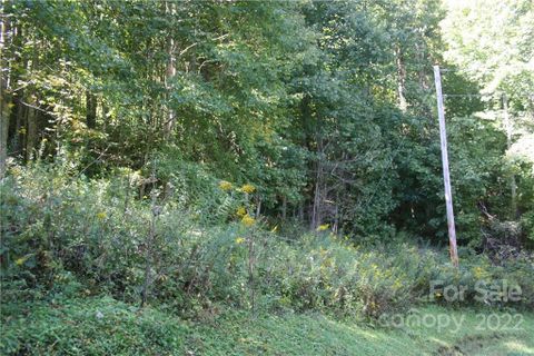 9 Haw View Drive sold home in Wolfs Crossing, Mars Hill, NC