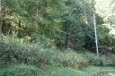9 Haw View Drive sold home in Mars Hill, SC