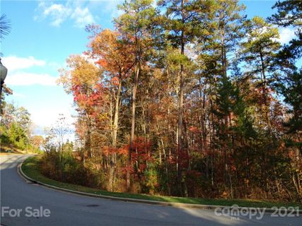 Upper Camptown Road active home in Straus Park, Brevard, NC