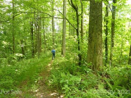 Tbd Running Bear Road sold home in Deerfield Meadows, Hot Springs, NC