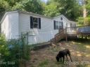 233 Magnolia Way sold home in Asheville, SC