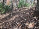 4 Red Oak Drive sold home in Mills River, SC