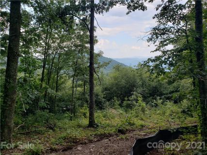 0 Autumn Ridge Lane 75