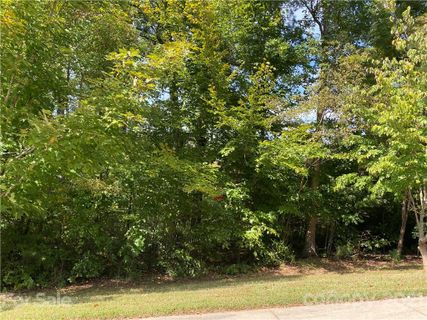 76 French Willow Drive 5