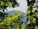 Lot 86 Mountain Lookout Drive LO86 sold home in Bostic, SC