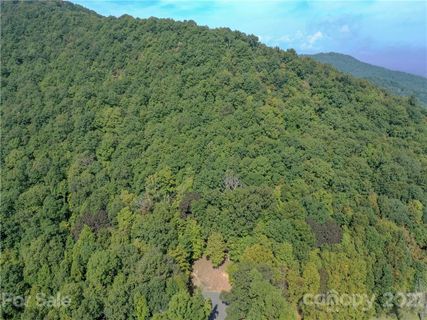 54 Ashewood Ridge Drive sold home in Ashewood, Candler, NC