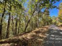 135 Bradley Ascent Court 57 sold home in Hendersonville, SC