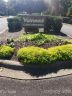 4801 Spring Lake Drive sold home in Charlotte, SC