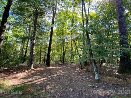 80 Powder Creek Trail 32