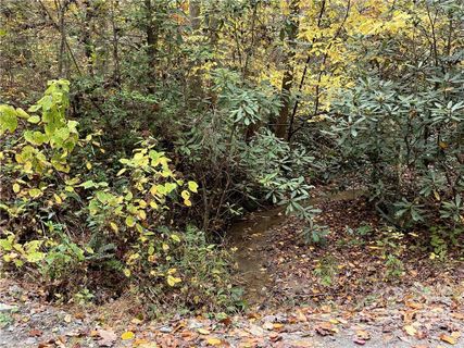 00 Waggoners Way sold home in Whites Lake, Saluda, NC